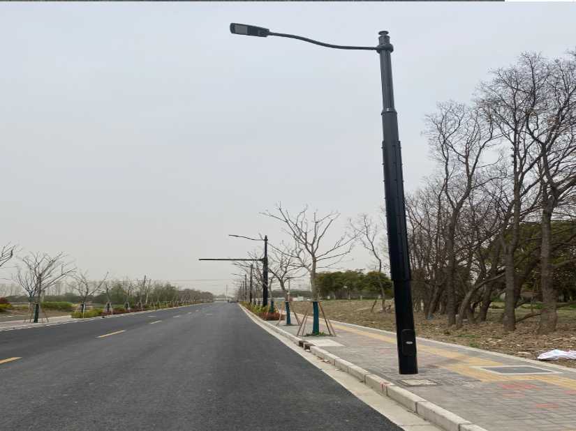 颍上县上海综合杆 太阳能路灯工程